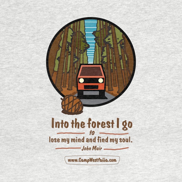 Campervan in Redwood Forest, light by CampWestfalia